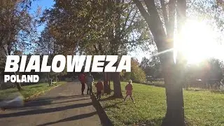 🇵🇱 Europe's  Primal Forest, Bialowieza, Poland. Bialowieza Village and Wildlife.