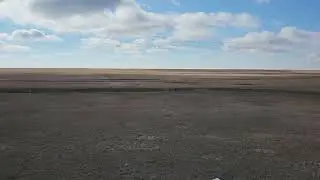 Wild Geese Flight, Lafleche Saskatchewan 20241029 112258 B