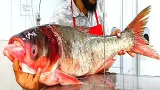 Super giant River silver carp fish just family cutting skills video amazing fish cutting video 