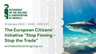 The European Citizens' Initiative 