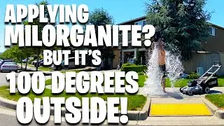 Applying Milorganite in 100 degree weather?!? Is it safe? YOU BET YOUR A** it's safe! Go buy some!