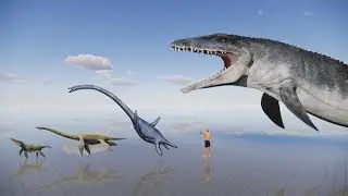 Extinct aquatic reptiles length comparison