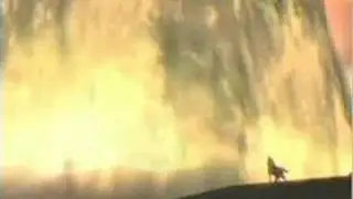 Twilight Princess ~ Warrior