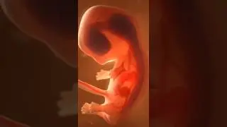 how to make new fatul #pregnancy baby # babies #shorts