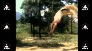 Sukh Knight - Pai Mei Technique