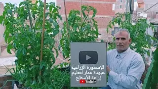 جولة زراعية في مزرعتي المتواضعة على سطح بيتي وسط نبتاتي 