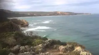 Ecidna on point Addis
