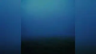 Coste - dulcet