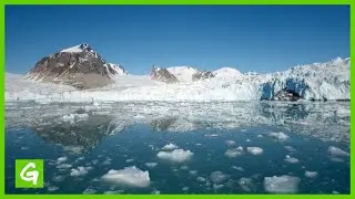 Protect the Earth