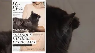 Micha&euml;l Lessard - L&rsquo;animal, entre propri&eacute;t&eacute; et personnalit&eacute; juridique (11 avril 2018)