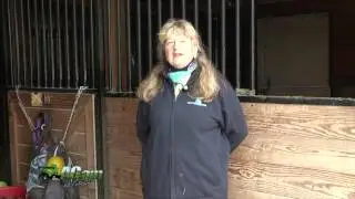 WebsiteVideos
