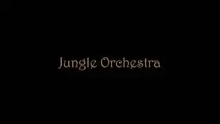 Jungle Orchestra - A Jungle Rhythms Production