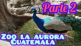 Zoo la aurora en Guatemala hermoso lugar 