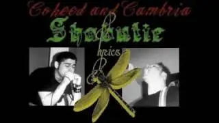 Shabutie-Rare 