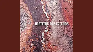 Visiting My Friends