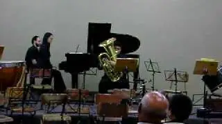 Pe&ccedil;a concertante