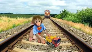 Cute BON BON Monkey on alone train track try stops train and escaped funny vfx video editing