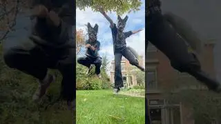 Star forgot the dance 😅 #furry #otherpaw #mask #tail #cat #cats #shorts #quadrobics #dance