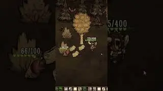 Как ЭФФЕКТИВНО использовать ЛОВУШКИ в донт старв #донтстарв #shorts #dst #dont_starve_together #гайд