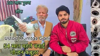 Rampuri kabootar कई तरीके की आंख बनाई देखते रह जाओUstad Mumtaz Gani By Altaf khan