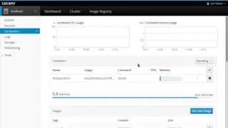 Docker Container Volume and Enviroment Variables