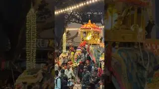 Dasara : jamboo Savari 2024❤️&zwj;🩹 #dasara #mysore #ambari