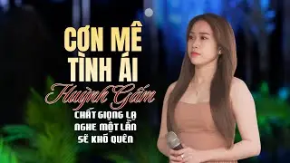 Cơn Mê Tình Ái - Huỳnh Gấm | Hát Live Giữa Quán Cà Phê Khiến Bao Cặp Mắt Nhìn Trầm Trồ Khen Ngợi