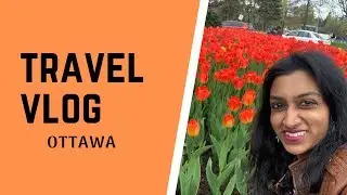 EXPLORE OTTAWA WITH ME (PART 1)  | MILLENNIAL MOMMY