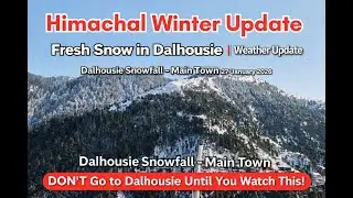 Snowfall in Himachal 2026 | Dalhousie Snowfall Update & Road Conditions - Watch Before Visiting