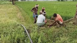Primitive Technology Vlog - Group Style to Trap Mouse in Village