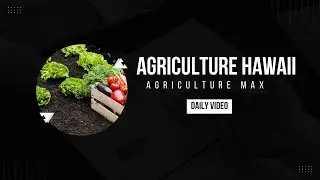 agriculture hawaii |farming in hawaii |