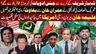 Aleema Khan&rsquo;s Dubai & USA Properties | PTI Core Committee&rsquo;s Rebellion | Shehbaz Sharif Exposed