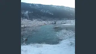 Ambient River Sounds