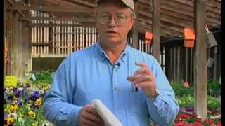 How To Choose Warm Season Annuals For Your Garden