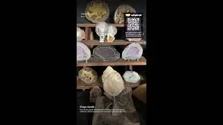 Huge Geode and Agate cuts! Free Geode Givvys!