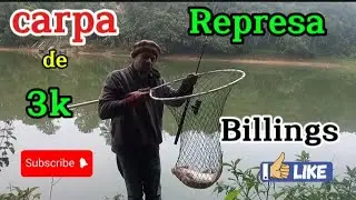 [Carpa de 3K]  represa [Billings] #pesca #natureza #pesca 