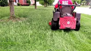 Rainy Days and Lawn Stripes