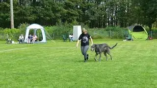 R&uuml;den Jugendklasse V2  O'Melly vom Alpetal