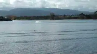Tony Grinter's open petrol hydro record 19.21sec.wmv