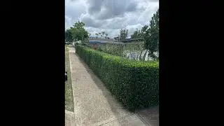 Hedges: Before & After.  Call for a free estimate to trim your hedges.