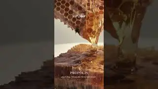 Natural Treasure from Bees