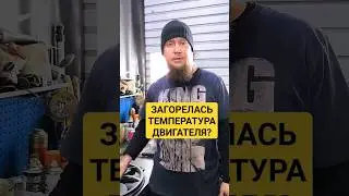 НЕ ДОПУСТИ ПЕРЕГРЕВА МОТОРА ПЕЖО СИТРОЕН! #shorts #пежо #автосервис #ep6 #ремонтавто #ситроен