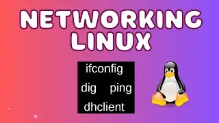 APRENDE SOBRE LOS COMANDOS DE RED EN LINUX