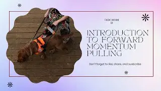 Introduction to Forward Momentum Pulling - Task Work 01