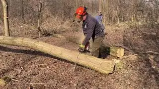 Stihl ms661 c-m, darabol&aacute;s