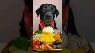 Breakfast Time with My Cute Dogs 🐶 | Morning Routine Shorts #pets #shorts #animals