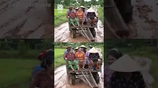 7 Women Killed in Maharashtra Tractor Accident | Shocking Reality of Rural Safety & Gender Pay Gap
