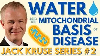 Dr Jack Kruse: WATER, non-native EMFs & mitochondrial basis of disease | Regenerative Health Podcast