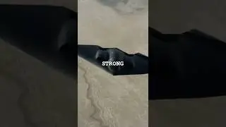 How the B-2 Bomber was Detected