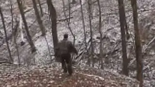 White Oak Hunting - Russian Boar